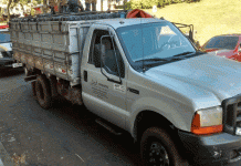 Indivíduo é localizado por cão policial e aproximadamente 160 caixas de cigarros são apreendidas na região sudoeste.