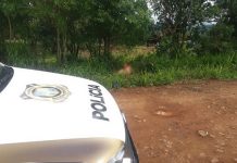 Mulher é encontrada morta com sinais de violência sexual