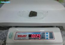 Adolescente de 17 anos é apreendido com 25 gramas de maconha em Clevelândia.