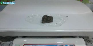 Adolescente de 17 anos é apreendido com 25 gramas de maconha em Clevelândia.