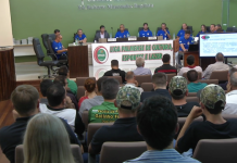 Liga Palmense de Cultura, Esporte e Lazer já conta com cronograma de atividades