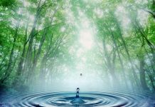 MEIO AMBIENTE: DIA MUNDIAL DA ÁGUA