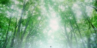 MEIO AMBIENTE: DIA MUNDIAL DA ÁGUA