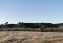 Quarta geada da semana em Palmas/PR