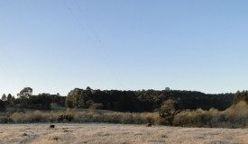 Quarta geada da semana em Palmas/PR