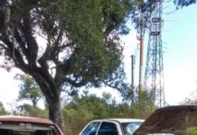 Polícia de Palmas/PR recupera cinco veículos com registro de furto