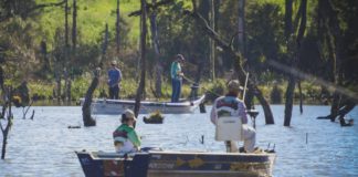 Turismo mapeia eventos de Palmas para o calendário oficial do Paraná