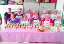 Ação Social, SENAR e Sindicato Rural oferecem curso de produção de geleias