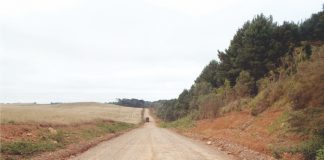 Governador assina autorização para licitação da pavimentação entre Cel. Domingos Soares e Palmas