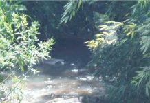 S.O.S RIOS E RIACHOS DE PALMAS