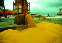 Com alta de 20%, Paraná é o quarto maior exportador do País