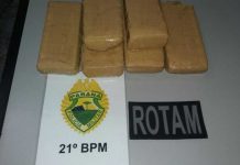 Operações da PM e da PRF retiram 80 Kg de maconha de circulação