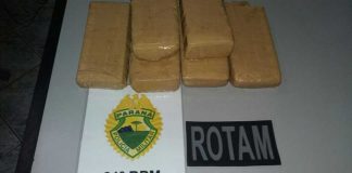 Operações da PM e da PRF retiram 80 Kg de maconha de circulação