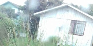 Cadê a conservação dos canteiros dos nossos bairros?