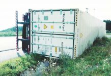 Policiais e seguranças impedem saque de carga com frangos