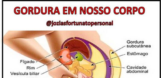 COMO ACONTECE O ACÚMULO DE GORDURA EM NOSSO CORPO?
