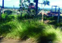 Palmas 1 no bairro Lagoão abandonado pelo Poder Público?