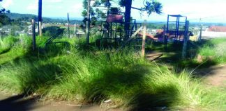 Palmas 1 no bairro Lagoão abandonado pelo Poder Público?