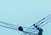 Quem solucionará o problema da Iluminação Pública no Bairro Cascatinha em Palmas?