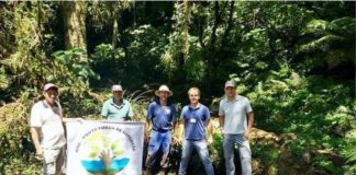 Palmas (PR) mostra um bom exemplo de proteção das nascentes