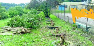 Em forma de protesto funcionário público mostra sua indignação com a atual gestão em relação a proteção ao Meio Ambiente