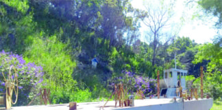 DEPOIS DE 5 ANOS BALSA VOLTARÁ A OPERAR