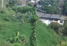 Poste Ecológico em Palmas?