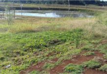 Falta de investimento no Parque Municipal do bairro Hípica faz um de nossos principais Cartões Postais da cidade ficar de fora das metas do Poder Público