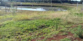 Falta de investimento no Parque Municipal do bairro Hípica faz um de nossos principais Cartões Postais da cidade ficar de fora das metas do Poder Público