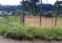 PREFEITURA NÃO INVESTE NA CONSERVAÇÃO DE ÁREAS DE LAZER DOS PALMENSES