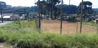 PREFEITURA NÃO INVESTE NA CONSERVAÇÃO DE ÁREAS DE LAZER DOS PALMENSES