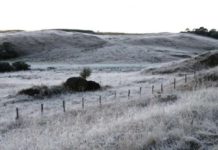 Assembleia aprova título de Capital do Frio e da Maçã para Palmas