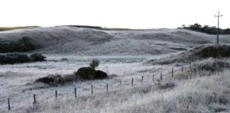 Assembleia aprova título de Capital do Frio e da Maçã para Palmas