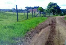 Falta de comprometimento do poder público com os moradores da Vila Rural de Palmas