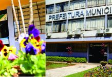 Prefeitura oferta vagas de estágio para áreas de Educação e Esporte em Pato Branco