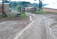 Falta de comprometimento público deixa moradores em situações precárias em Palmas