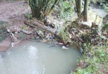 Rapaz é encontrado morto dentro de rio em Palmas/PR