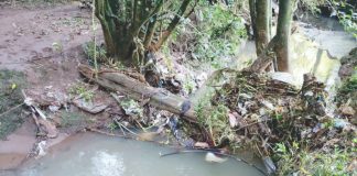 Rapaz é encontrado morto  dentro de rio em Palmas/PR