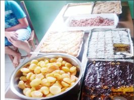 Estudantes realizam atividades diferentes em estudo sobre regiões do Brasil