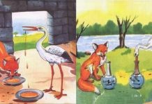 Fábula: A Raposa e a Cegonha