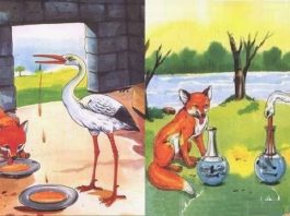 Fábula: A Raposa e a Cegonha