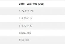 Exportações da microrregião de Palmas  cresceram 10% em 2018