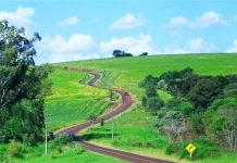 Depatran iniciará cronograma de operações nas estradas do interior
