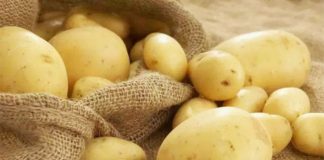 10 curiosidades sobre a batata que você provavelmente não sabia