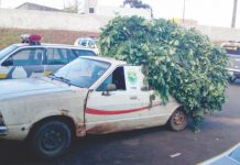 Erva mate furtada é localizada pela ROTAM de Palmas/PR