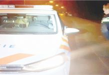 Policiais recolhem cão a viatura para protegê-lo da chuva e são ‘expulsos’ pelo animal