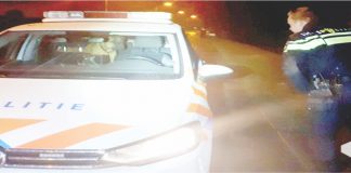 Policiais recolhem cão a viatura para protegê-lo da chuva e são ‘expulsos’ pelo animal