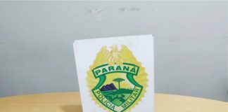 Casal é detido por embriaguez e porte de arma em Palmas