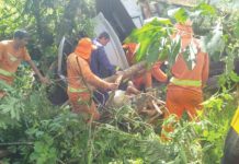 Acidente na PRc 280 em Clevelândia/PR