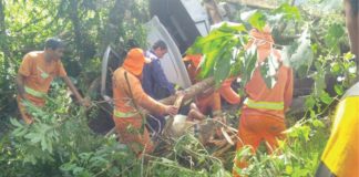 Acidente na PRc 280 em Clevelândia/PR